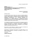 INFORME AVANCE DE AUDITORÍA PRELIMINAR