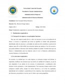 Fundamentos organizativos y procesos de recursos humanos