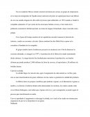 MEGA Corona y Heineken