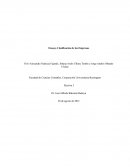 ENSAYO CLASIFIACCION DE LAS EMPRESAS