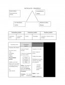 Apuntes Derecho Constitucional Colombiano