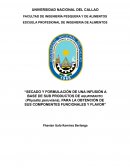 SECADO Y FORMULACIÓN DE UNA INFUSIÓN A BASE DE SUB PRODUCTOS DE AGUAYMANTO