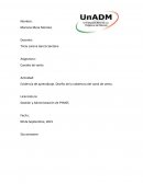 Actividad canales de venta