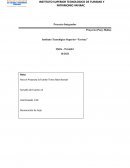 Proyecto (Pony Malta)