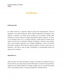 Ensayo sobre la celula