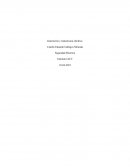 Generación y transmision eléctrica