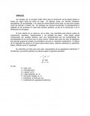 Proyeccion Hidraulica