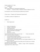 DISEÑO ORGANIZACIONAL GLORIA S.A