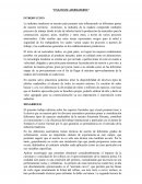 Ensayo de aserraderos