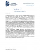 GUÍA DE PRÁCTICA SEPARACIÓN DE MEZCLAS