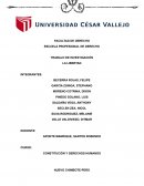 CONSTITUCION Y DERECHOS HUMANOS