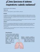 Como funciona nuestra respiración en el agua