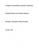 Reseña Museo de Historia Natural