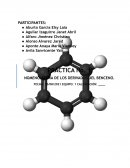 NOMENCLATURA DE LOS DERIVADOS DEL BENCENO