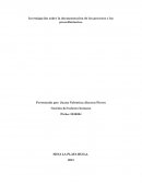 Investigación sobre la documentación de los procesos y los procedimientos