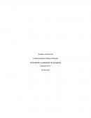 FORMULACION Y EVALUCION DE PROYECTO