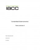 Contabilidad Gubernamental