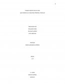 La mujer en 1984 (libro)