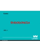 ENDODONCIA