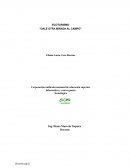 ECOTURISMO “DALE OTRA MIRADA AL CAMPO”