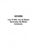 Ley 19.300, Ley de Bases Generales del Medio Ambiente