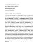 ENSAYO SOBRE EL URBANISMO AMBIENTAL