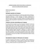 Actividad 1 empresa: Google, LLC