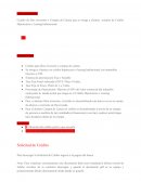 Derechos Civiles Y Politicos de la Mujer