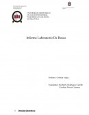 Informe Laboratorio De Rocas
