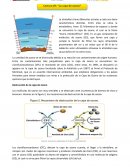 La capa de ozono: El escudo protector de la estratosfera