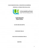 PLAN DE NEGOCIOS PARA LA CREACIÓN DE UNA EMPRESA