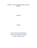 Cuadro comparativo “Medios y modos de transporte”