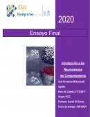 ¿Qué es la conciencia?