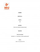 Coordinación y Manual organizacional