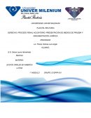 PROCESO PENAL ACUSATORIO: PRESENTACIÓN DE MEDIOS DE PRUEBA Y ARGUMENTACIÓN JURÍDICA