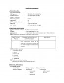 SESIÓN DE APRENDIZAJE. Las Disfunciones Sexuales