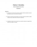 Física Práctica 1: Cinemática