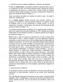 Reacciones Químicas