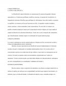 Las características más importantes de la filosofía helenística