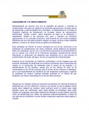 Agroquímicos y el medio ambiente