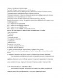 Administración y dirección de empresas