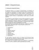 Personalidad y raíces del comportamiento