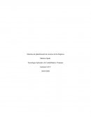 Sistemas de planificación de recursos de la Empresa