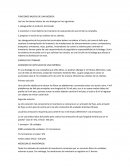 FUNCIONES BASICAS DE UNA BODEGA