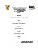 INFOGRAFÍA DE LA CÉLULA HUMANA