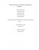Gestión del Talento Humano y las Renuncias en los Empleados de la Empresa Vise