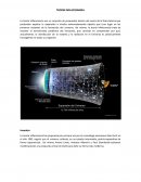 TEORÍA INFLACIONARIA