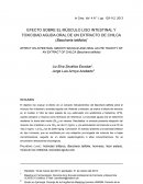 EFECTO SOBRE EL MÚSCULO LISO INTESTINAL Y TOXICIDAD AGUDA ORAL DE UN EXTRACTO DE CHILCA