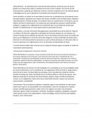 Teorías de la Administración-Análisis