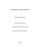 Ensayo individual 1. ¿Qué es un proyecto? Comprobación de lectura